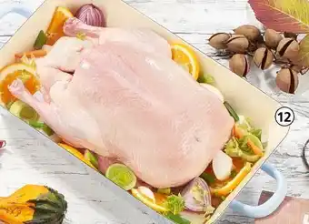 Spar Ente Angebot