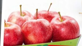 Spar Äpfel Angebot