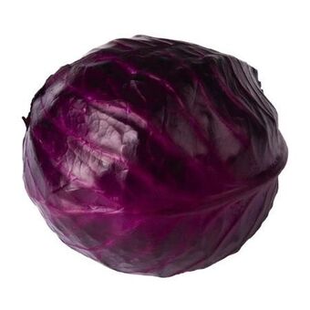 Billa Rotkraut Angebot