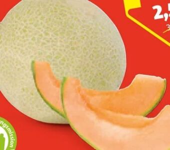 Hofer Zuckermelone charentais Angebot