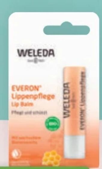 Bipa Everon lippenpflege Angebot