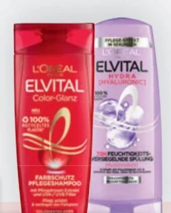 Bipa Elvital shampoo Angebot