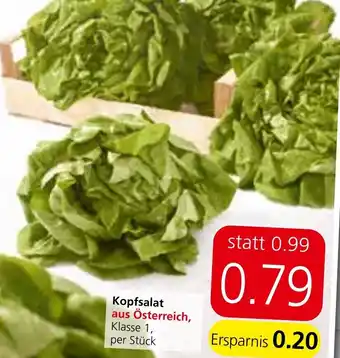 Spar Kopfsalata Angebot