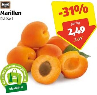 Hofer Marillen Angebot