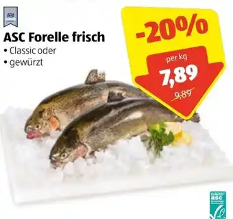 Hofer ASC Forelle Frisch Angebot
