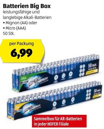 Hofer Batterien Big Box Angebot