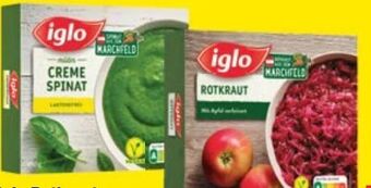 Maximarkt Rotkraut Angebot