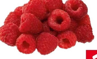Transgourmet Himbeeren Angebot