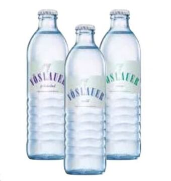 Transgourmet Mineralwasser Angebot