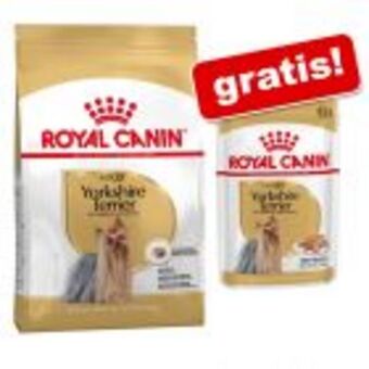Zooplus Royal canin adult breed trockenfutter + passendes nassfutter gratis! Angebot