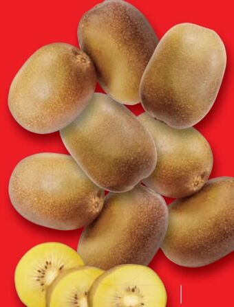 Lidl Kiwi gold Angebot