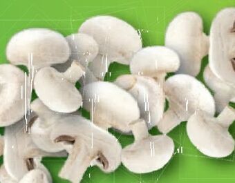 Lidl Champignons Angebot