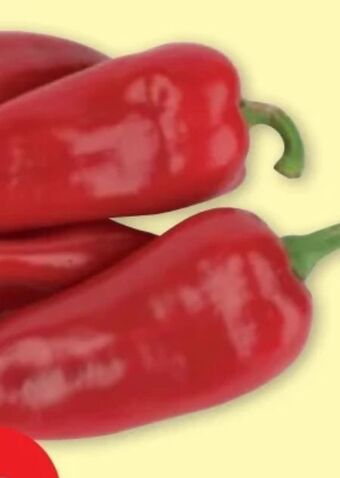 PENNY Spitzpaprika Angebot
