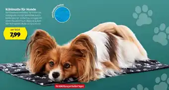 Hofer Kühlmatte Für Hunde Angebot