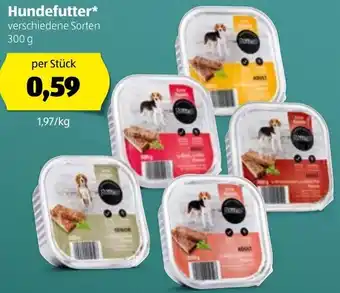 Hofer Hundefutter 300g Angebot