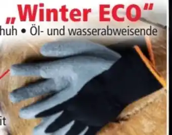 Norma Winter-handschuhe winter eco Angebot
