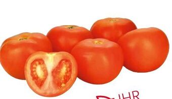 Transgourmet Tomaten Angebot