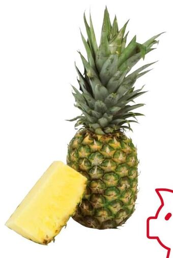 Transgourmet Ananas Angebot