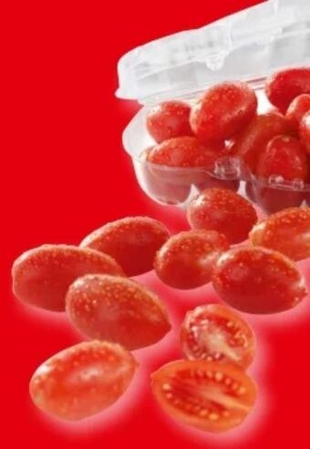 Interspar Datterini tomaten Angebot