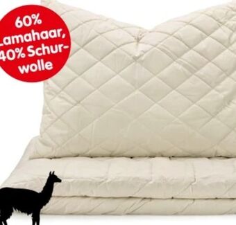 Interspar Polster lama Angebot