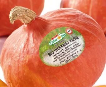 Spar Bio-hokkaido kürbis Angebot