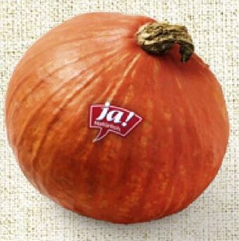 Billa Bio-speisekürbis hokkaido Angebot