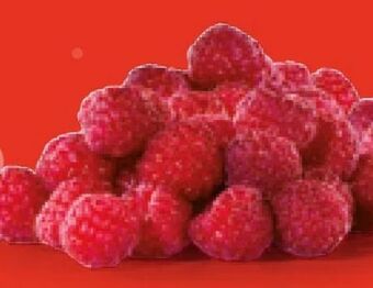 Hofer Himbeeren Angebot