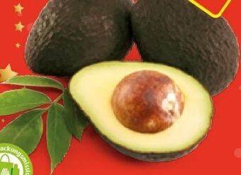 Hofer Iss reif! avocados Angebot