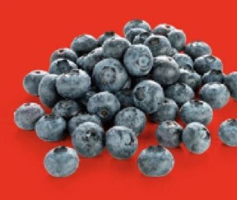 Hofer Heidelbeeren Angebot