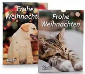 Hofer Adventkalender für tiere Angebot