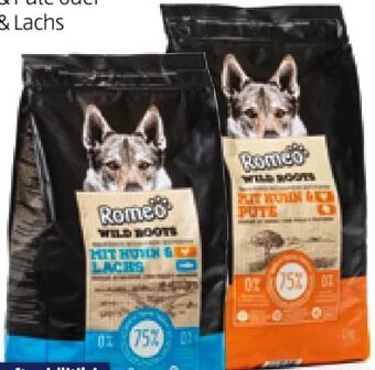 Hofer Wild roots hundedosenfutter Angebot