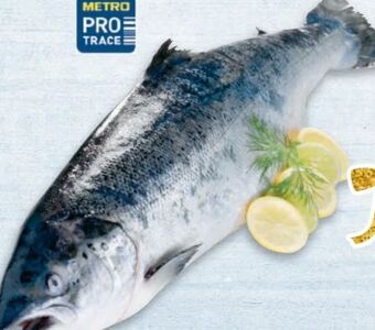 Metro Lachs Angebot