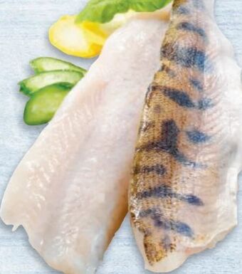 Metro Zanderfilet Angebot