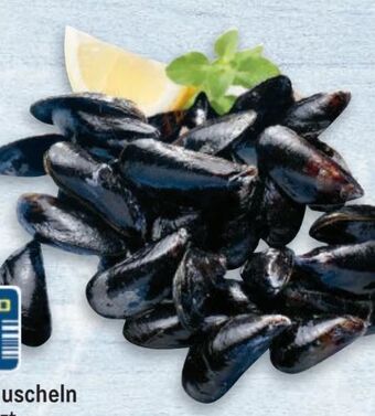 Metro Miesmuscheln Angebot