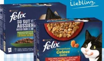 Maximarkt Felix katzennahrung Angebot