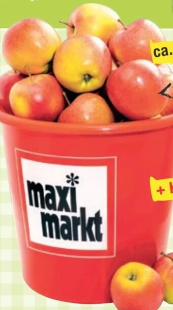 Maximarkt Äpfel jonagold Angebot