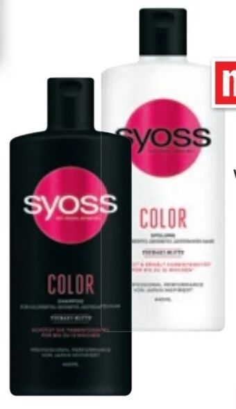 Maximarkt Shampoo Angebot