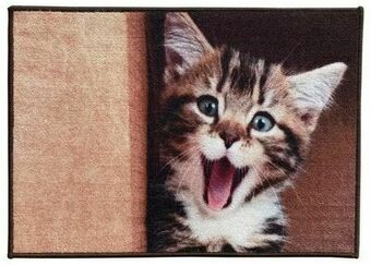 Möbelix Fußmatte Nook Angebot