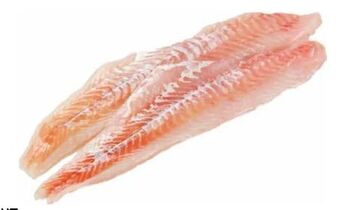 Transgourmet Kabeljaufilet Angebot