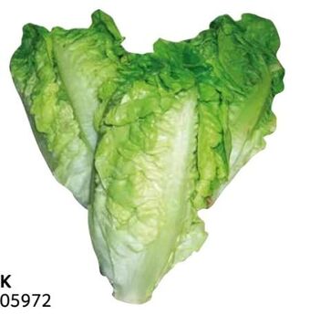 Transgourmet Salatherzen Angebot