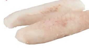 Transgourmet Kap seehecht loins Angebot