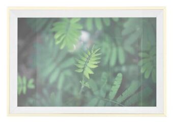 Mömax Bilderrahmen mara Angebot