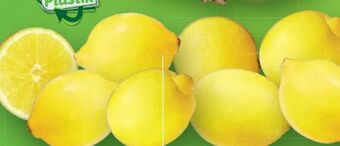 Lidl Bio-zitronen Angebot