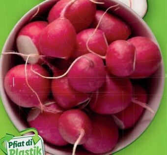 Lidl Radieschen Angebot