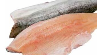 Transgourmet Forellenfilet Angebot