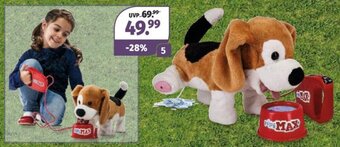 Müller Pipi Max Beagle Angebot