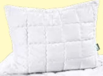 Möbel Ludwig Kissen Angebot