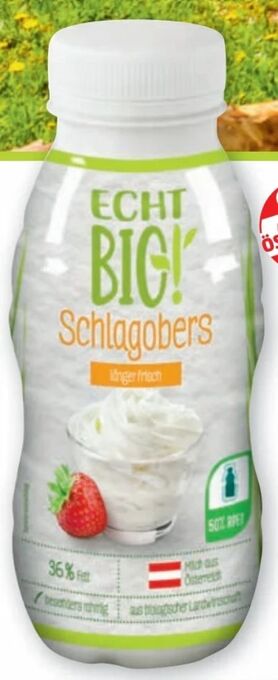PENNY Schlagobers Angebot