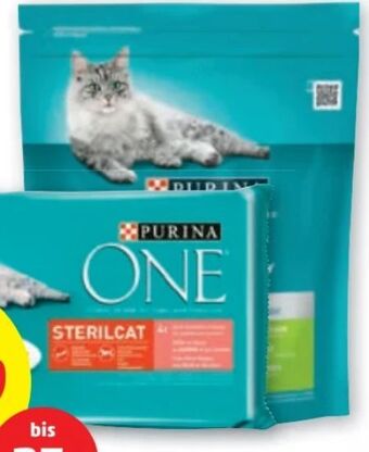 PENNY One katzennahrung Angebot