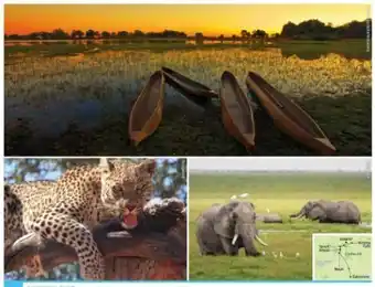 Hofer Reisen Simbabwe-botswana-rundreise-safari Angebot